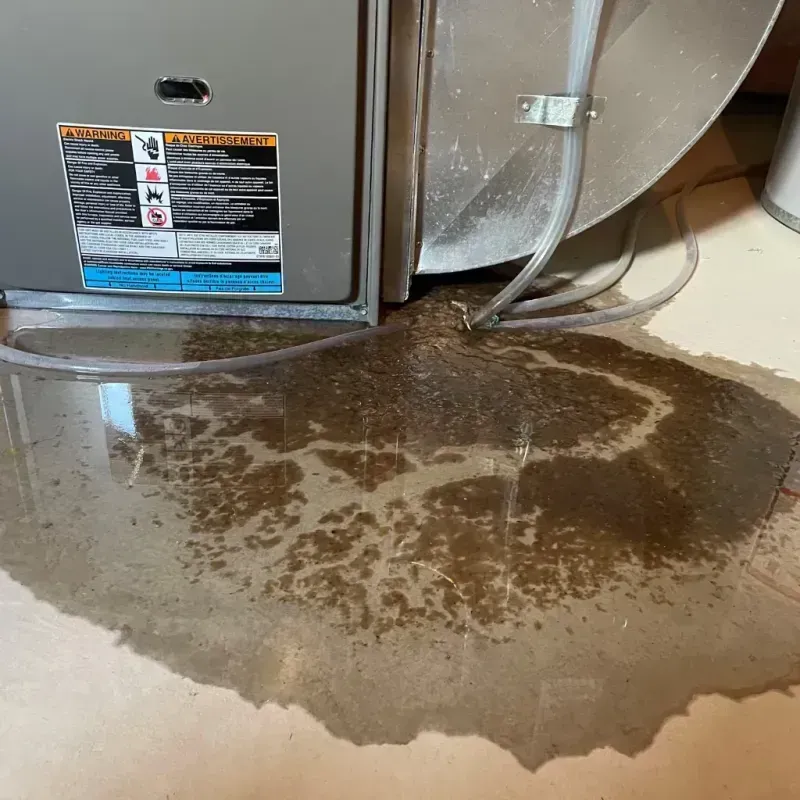 Appliance Leak Cleanup in Okeene, OK